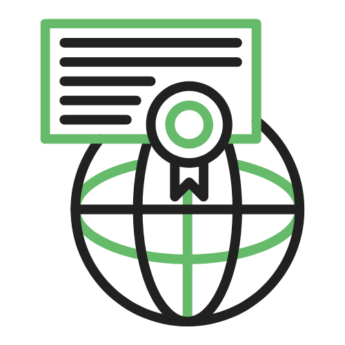 Globally Recognized Certification​